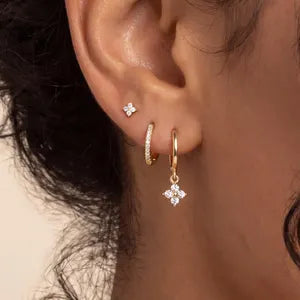 Woman's Earrings