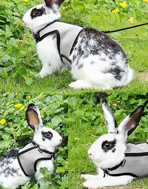 Load image into Gallery viewer, Pet Mesh Harness With Leash Small Animal Harness Vest Lead for Hamster Rabbit Guinea Pig Small Animal Accessories Pet Lead Set
