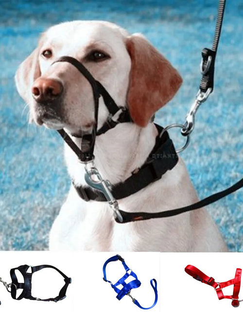 Load image into Gallery viewer, Creative Dog Halter Halti Training Head Collar Gentle Leader Harness Nylon Breakaway All Seasons Usefull Harnesses Lead hot
