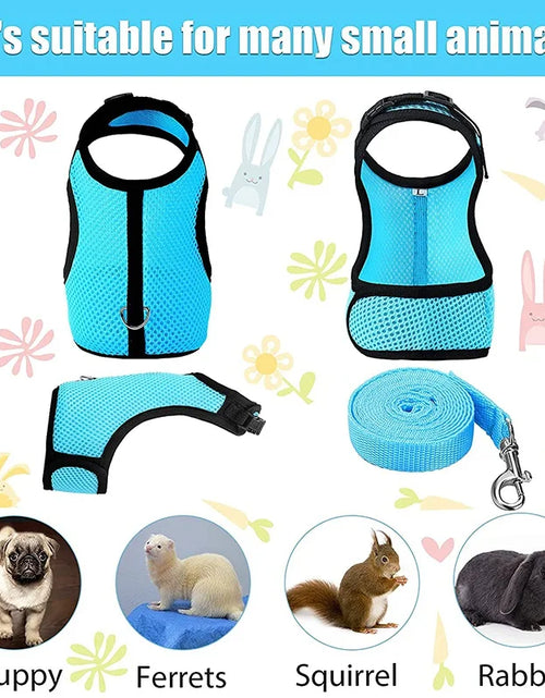 Load image into Gallery viewer, Pet Mesh Harness With Leash Small Animal Harness Vest Lead for Hamster Rabbit Guinea Pig Small Animal Accessories Pet Lead Set
