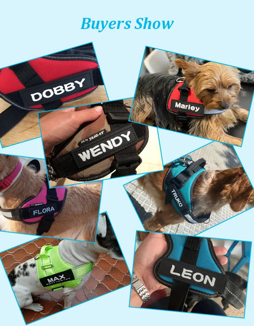 Load image into Gallery viewer, 2 PCS Personalized Dog Name Tag Dog Tags Custom K9 Dog Harness Collar Label Sticker Custom Pet Dog Harness Collar Name Tags
