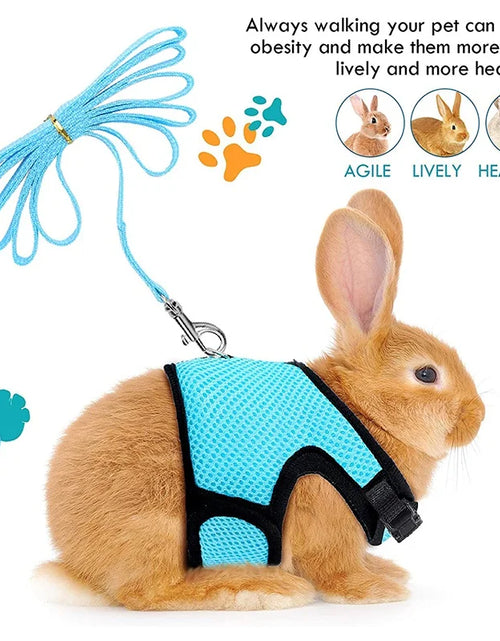 Load image into Gallery viewer, Pet Mesh Harness With Leash Small Animal Harness Vest Lead for Hamster Rabbit Guinea Pig Small Animal Accessories Pet Lead Set
