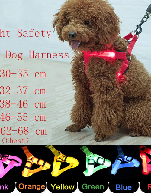 Load image into Gallery viewer, USB Charging Rechargeable Nylon Dog Collar LED Light Flashing Night Safety Anti Lost Pet Harness
