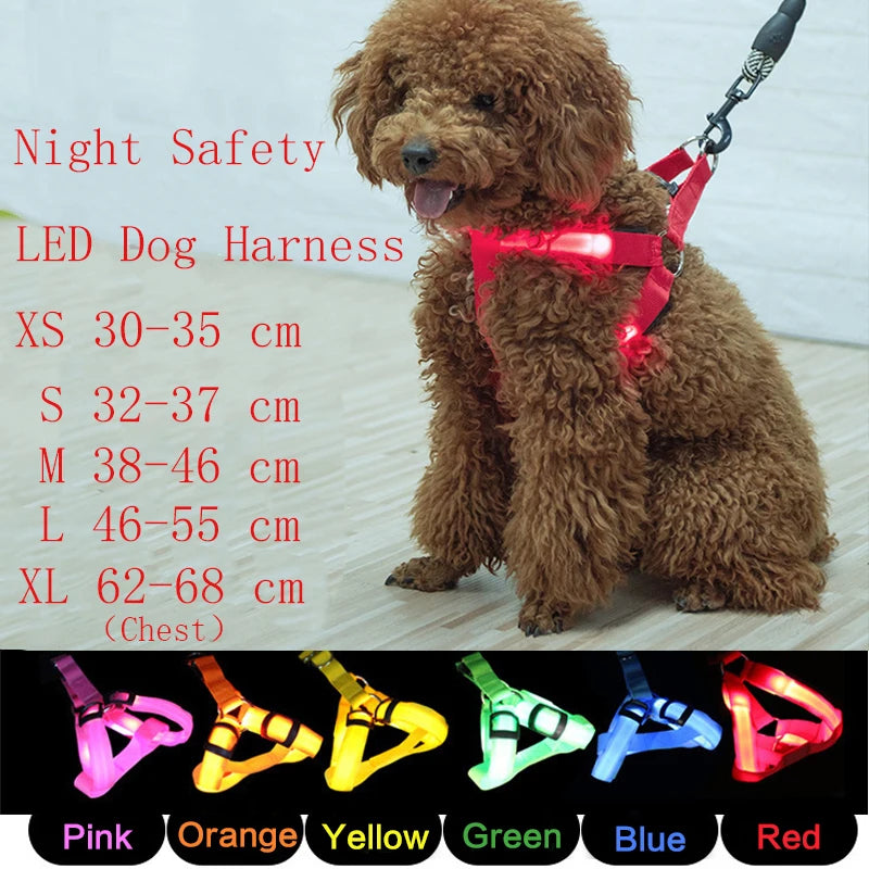 USB Charging Rechargeable Nylon Dog Collar LED Light Flashing Night Safety Anti Lost Pet Harness