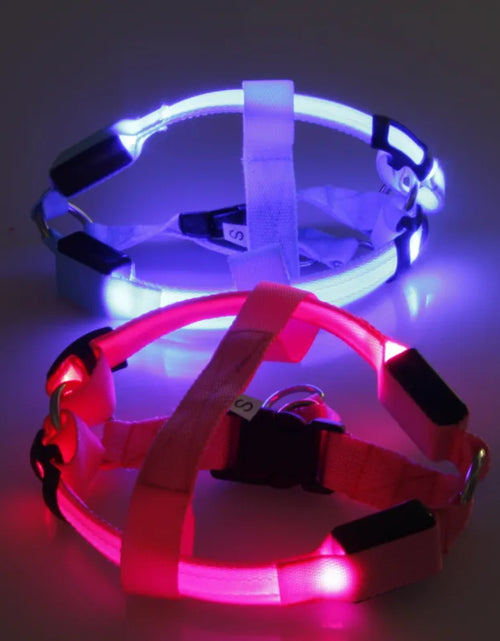 Load image into Gallery viewer, USB Charging Rechargeable Nylon Dog Collar LED Light Flashing Night Safety Anti Lost Pet Harness
