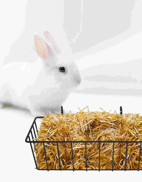 Load image into Gallery viewer, 2 Pcs Chinchilla Rabbit Hay Feeder Baby Hamster Toys Carrier Wrought Iron Pet Cage Supply
