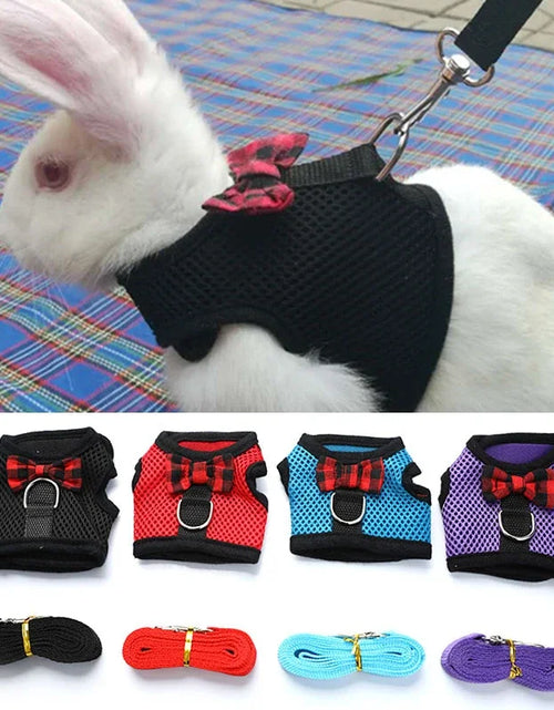 Load image into Gallery viewer, Cute Rabbit Harness Leash Set Bunny Vest Harnesses Guinea Pig Leashes For Outdoor Walking Lead Rope For Small Pets Supplies
