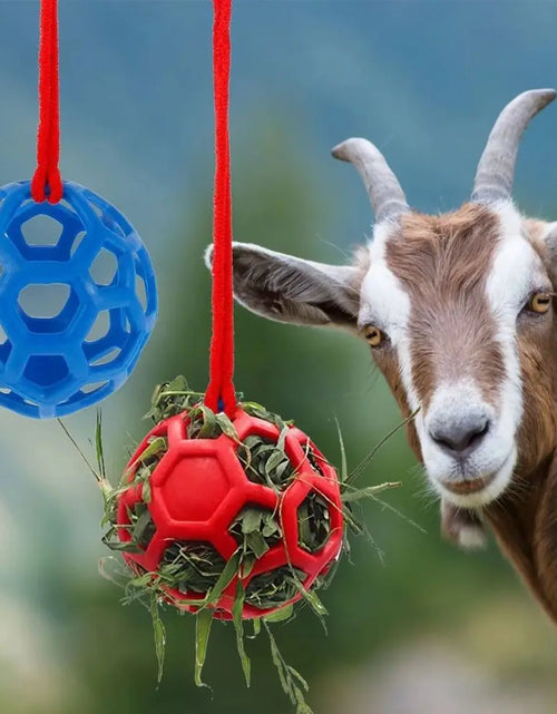 Load image into Gallery viewer, Leisure and Entertainment TPR Horse Treat Ball Red/Blue/Green 5.5inch Pony Hay Feeder Soft Circular Hanging Feeding Toy Cattle
