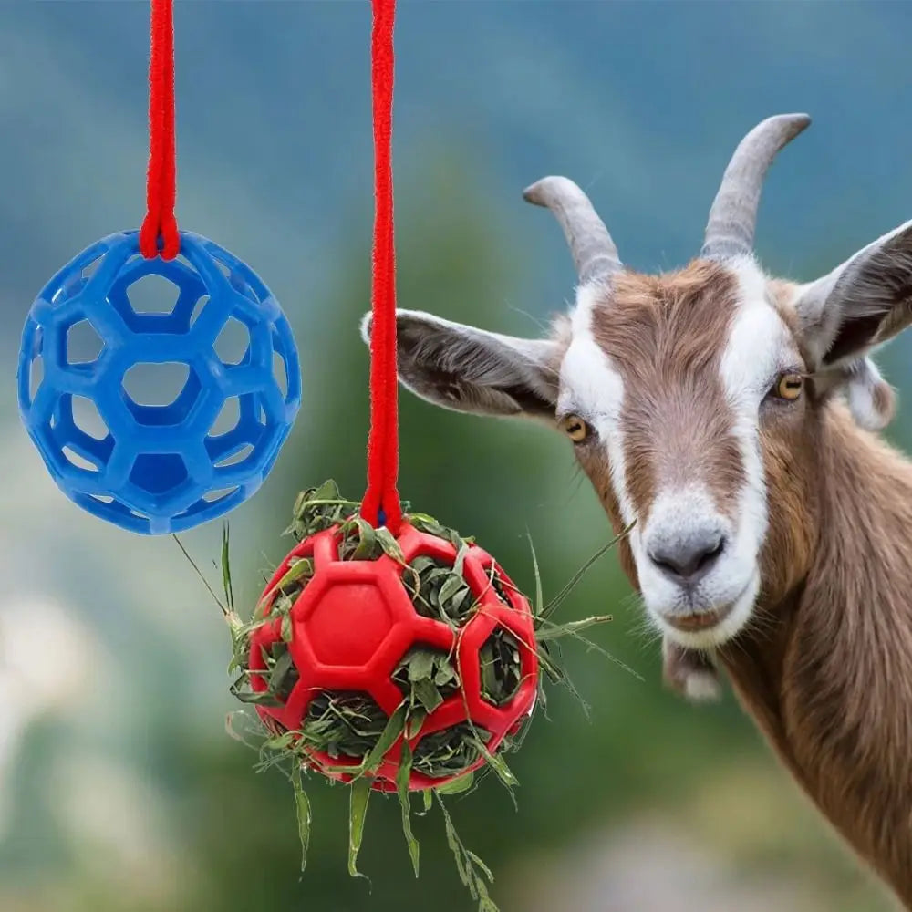 Leisure and Entertainment TPR Horse Treat Ball Red/Blue/Green 5.5inch Pony Hay Feeder Soft Circular Hanging Feeding Toy Cattle