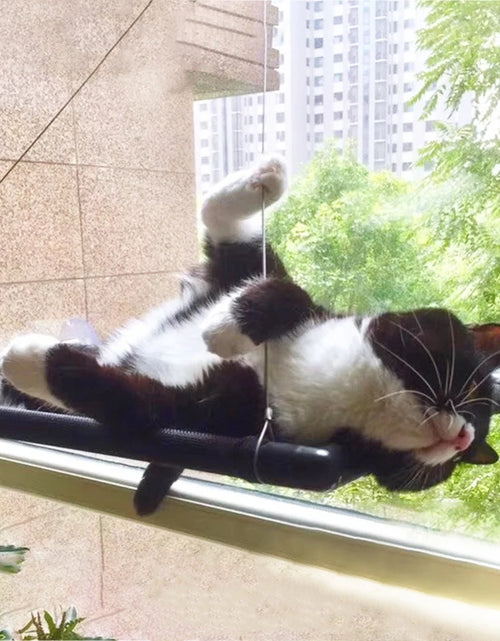 Load image into Gallery viewer, Window Mounted Cat Hammock Beds Pet Windows Perch Bearing 20kg Comfortable Soft Warm Suction Cup Cute Cat Bed
