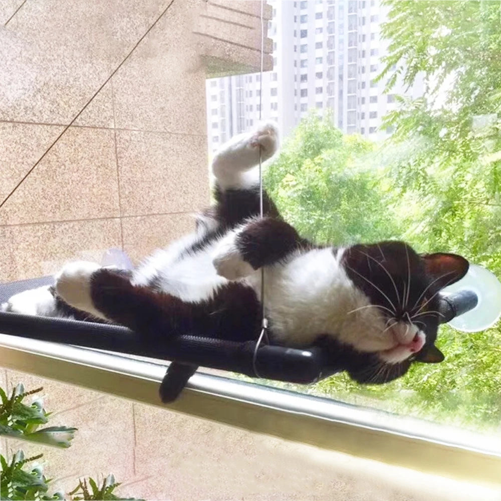 Window Mounted Cat Hammock Beds Pet Windows Perch Bearing 20kg Comfortable Soft Warm Suction Cup Cute Cat Bed