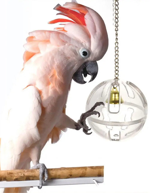 Load image into Gallery viewer, Pets Bird Parrot Food Feeder Foraging Bell Chain Ball Cage Feeding Chew Training Hanging  Foraging Toy
