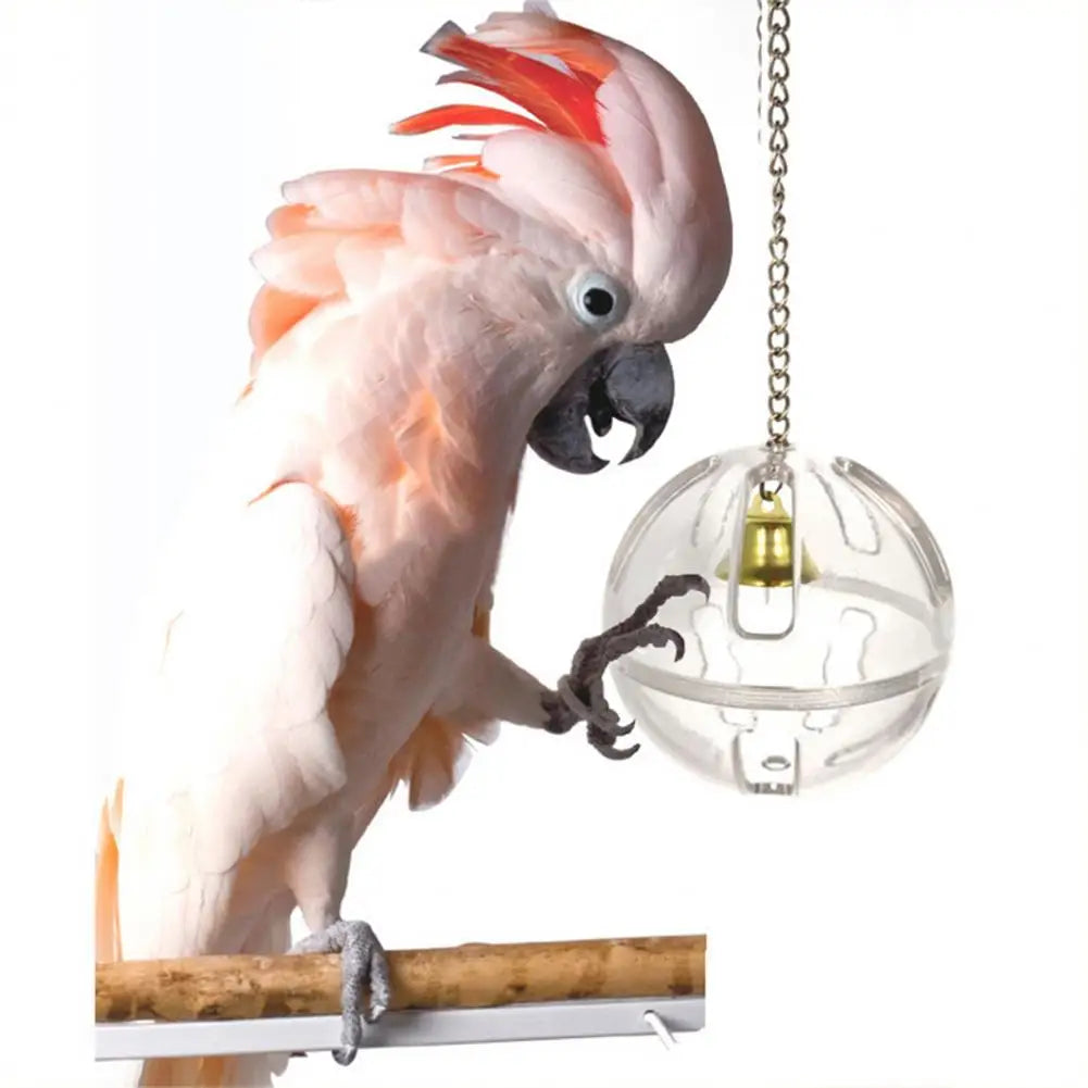 Pets Bird Parrot Food Feeder Foraging Bell Chain Ball Cage Feeding Chew Training Hanging  Foraging Toy