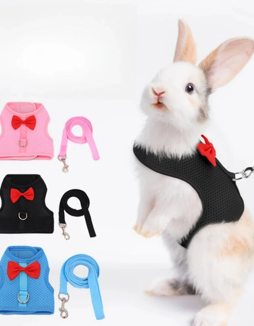 Load image into Gallery viewer, Soft, Comfortable, Cozy, Durable Padded Mesh Rabbit Harness - Gentle and Ideal Vest for Small Pets like Guinea Pigs, Bunny, and
