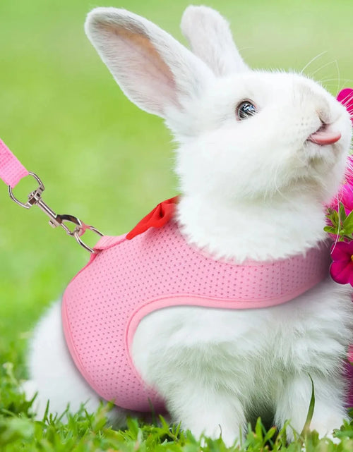 Load image into Gallery viewer, Soft, Comfortable, Cozy, Durable Padded Mesh Rabbit Harness - Gentle and Ideal Vest for Small Pets like Guinea Pigs, Bunny, and
