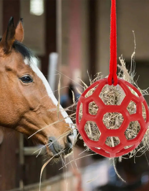 Load image into Gallery viewer, Leisure and Entertainment TPR Horse Treat Ball Red/Blue/Green 5.5inch Pony Hay Feeder Soft Circular Hanging Feeding Toy Cattle
