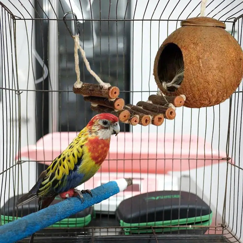 Coconut Hide Natural Bird Hide Can Store Food And Provide Warmth For Pets Coconut Hide With Ladder Bird House Cage Toy For Pet