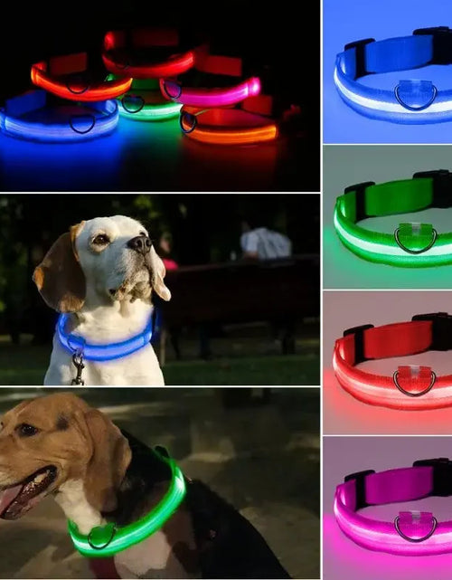 Load image into Gallery viewer, Fashion Pet Dog Collar Nylon Glow LED Glowing Cat Collars Adjustable Dog Leash Anti-loss Pet Cats Dogs Harness Accessories
