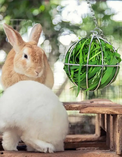 Load image into Gallery viewer, Hay Feeder Ball Stainless Steel Bunny Grass Sphere Play Chew Toy Grass Rack Ball, Pet Supplies For Bunny Hamster Chinchilla
