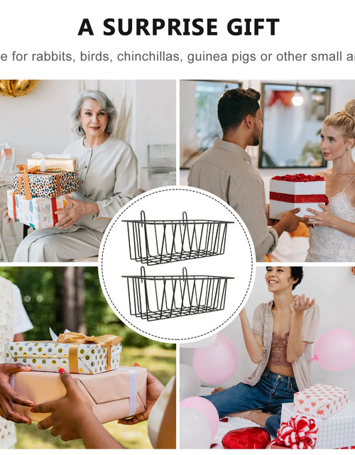 Load image into Gallery viewer, 2 Pcs Chinchilla Rabbit Hay Feeder Baby Hamster Toys Carrier Wrought Iron Pet Cage Supply
