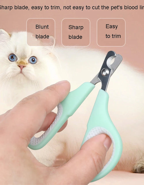 Load image into Gallery viewer, 5 Pcs Pet Deshedding Brush Massage De-floating Needle Comb Flea Comb Needle comb Set Grooming Tool For Dog Cat
