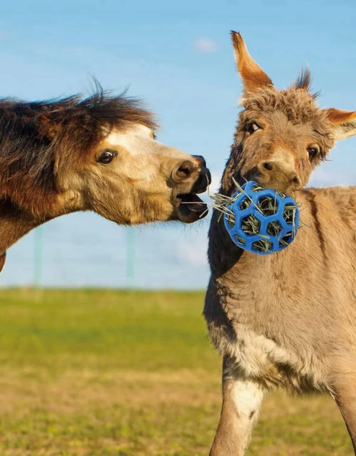 Load image into Gallery viewer, 4 Packs Horse Treat Ball Hay Play Ball,Goat Hay Ball Hanging Feeding Toy For Sheep Horse Goat Feeder And Relieve Stress
