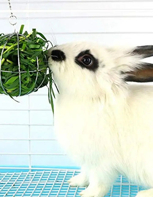 Load image into Gallery viewer, Hay Feeder Ball Stainless Steel Bunny Grass Sphere Play Chew Toy Grass Rack Ball, Pet Supplies For Bunny Hamster Chinchilla
