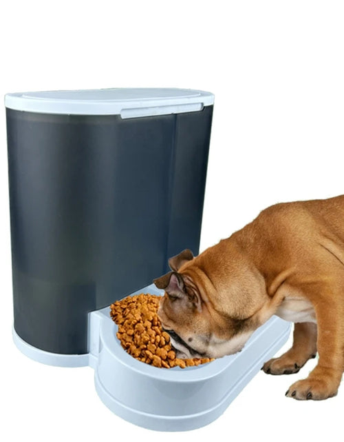 Load image into Gallery viewer, Large Capacity Pet Feeders with Water Dispenser Small Dog Cats Bowl Automatic Water Dispenser Watering Feeding Supply M68E
