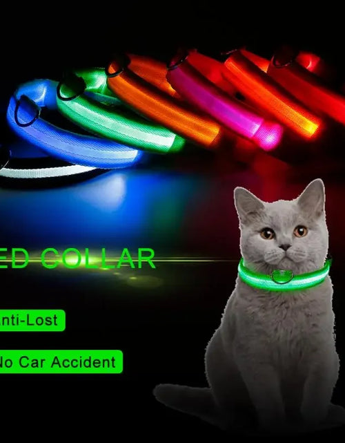 Load image into Gallery viewer, Fashion Pet Dog Collar Nylon Glow LED Glowing Cat Collars Adjustable Dog Leash Anti-loss Pet Cats Dogs Harness Accessories
