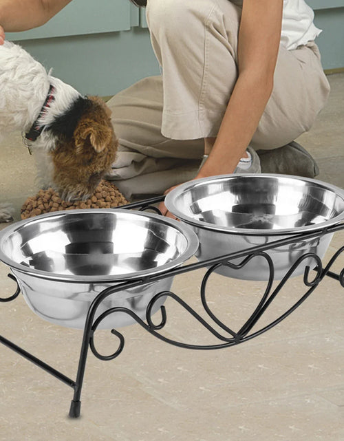 Load image into Gallery viewer, Pet Dog Cat Feeder Bowl Stainless Steel Double Bowl  Cat Dish Bowl for Puppy Elevated Stand for Pet Feeding &amp; Watering Supplies
