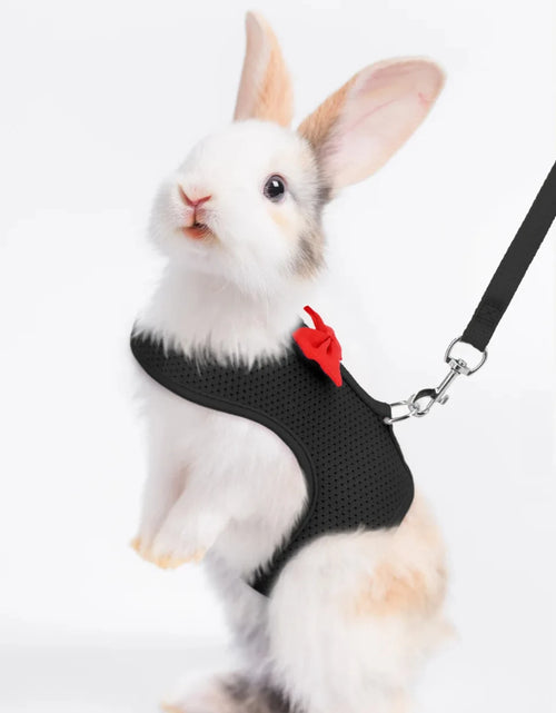 Load image into Gallery viewer, Soft, Comfortable, Cozy, Durable Padded Mesh Rabbit Harness - Gentle and Ideal Vest for Small Pets like Guinea Pigs, Bunny, and
