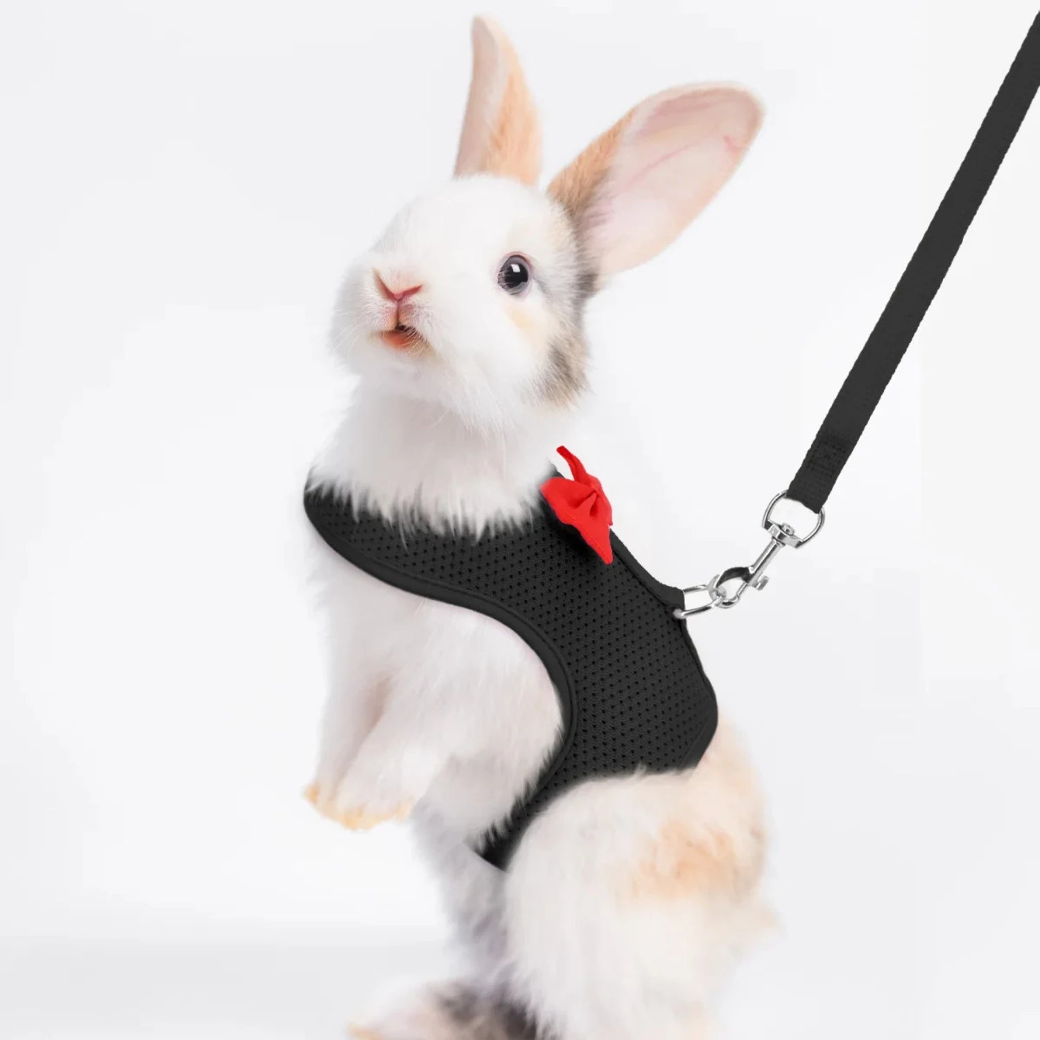 Soft, Comfortable, Cozy, Durable Padded Mesh Rabbit Harness - Gentle and Ideal Vest for Small Pets like Guinea Pigs, Bunny, and