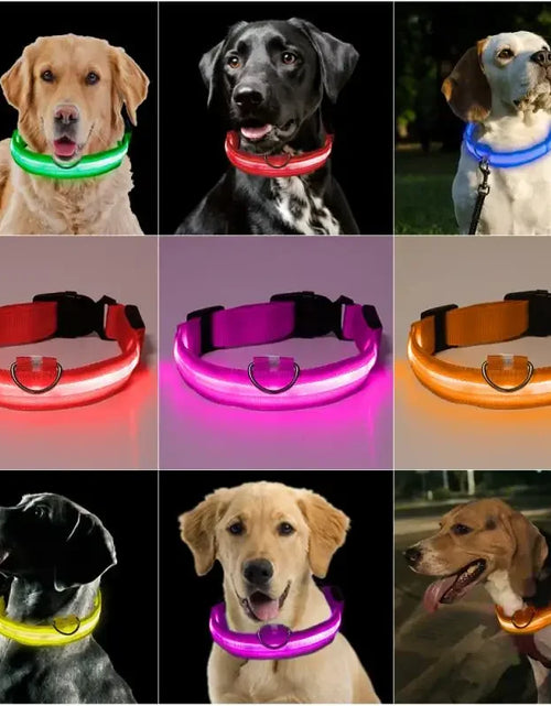 Load image into Gallery viewer, Fashion Pet Dog Collar Nylon Glow LED Glowing Cat Collars Adjustable Dog Leash Anti-loss Pet Cats Dogs Harness Accessories
