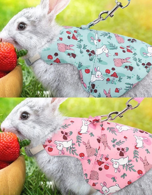 Load image into Gallery viewer, Rabbits Harness with Leash for Small Pet Traction Vest Leash Set for Guinea Pigs Pet Outdoor Adjustable Walking Harness
