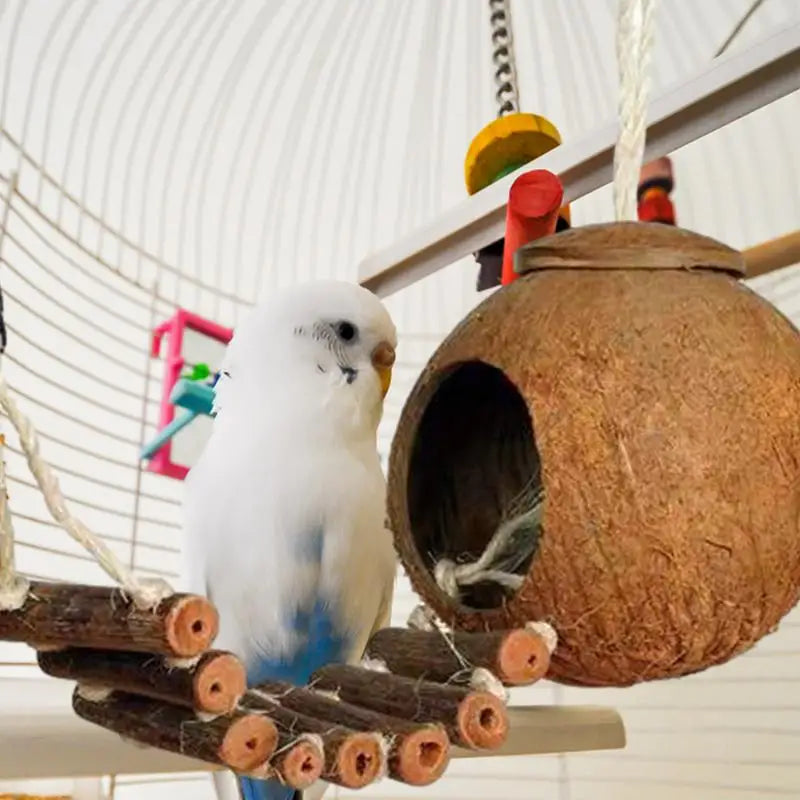 Coconut Hide Natural Bird Hide Can Store Food And Provide Warmth For Pets Coconut Hide With Ladder Bird House Cage Toy For Pet