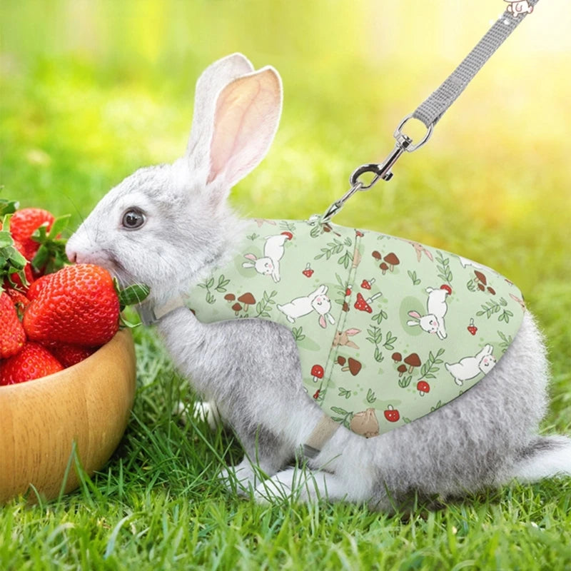 Rabbits Harness with Leash for Small Pet Traction Vest Leash Set for Guinea Pigs Pet Outdoor Adjustable Walking Harness