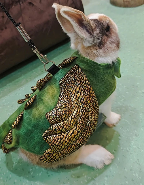 Load image into Gallery viewer, Small Animal Dinosaur Costume Harness Leash for Rabbit Guinea Pigs Net Vest Guinea Pigs Harness Dropship
