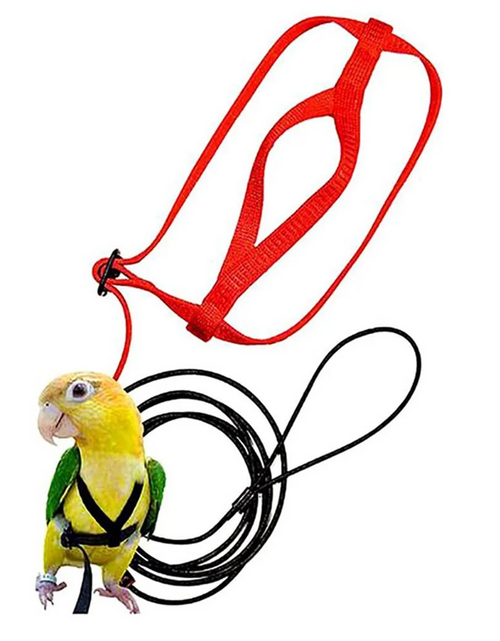 Load image into Gallery viewer, Parrot Bird Harness Leash Outdoor Flying Traction Straps Band Adjustable Anti-Bite Training Rope,Green L
