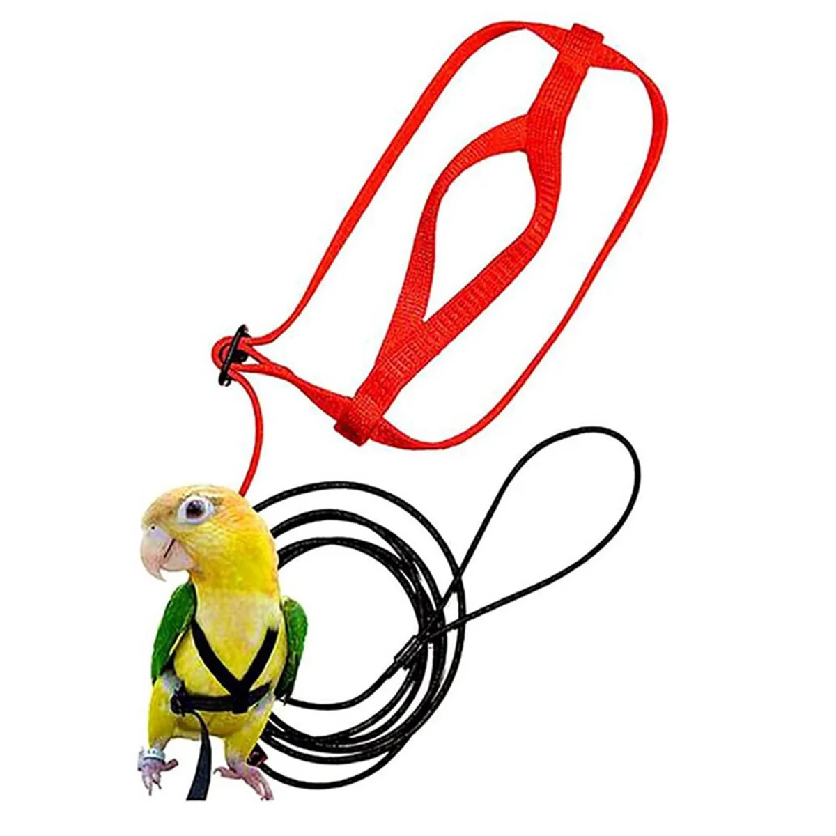 Parrot Bird Harness Leash Outdoor Flying Traction Straps Band Adjustable Anti-Bite Training Rope,Green L