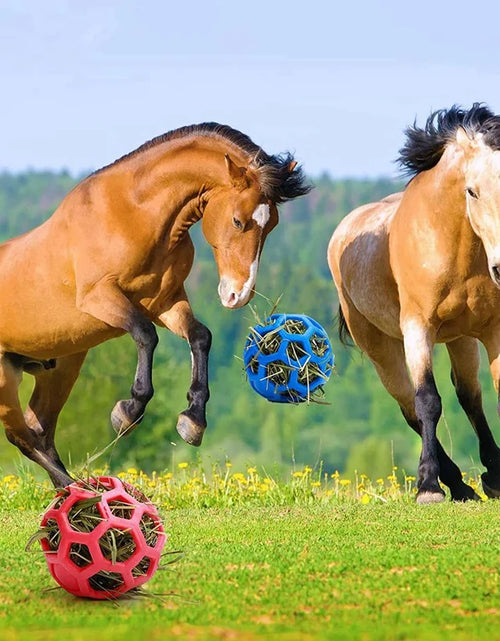 Load image into Gallery viewer, 4 Packs Horse Treat Ball Hay Play Ball,Goat Hay Ball Hanging Feeding Toy For Sheep Horse Goat Feeder And Relieve Stress
