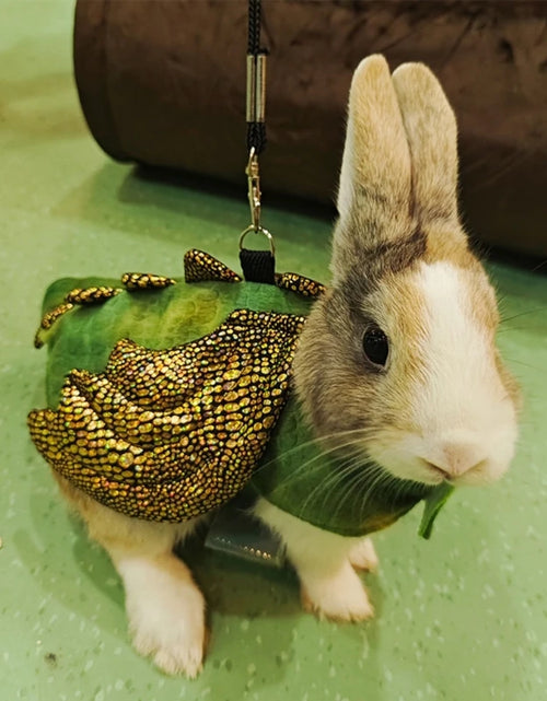 Load image into Gallery viewer, Small Animal Dinosaur Costume Harness Leash for Rabbit Guinea Pigs Net Vest Guinea Pigs Harness Dropship
