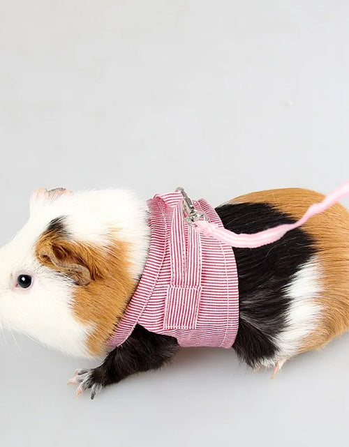 Load image into Gallery viewer, S/L Small Pets Chest Strap Hamster Outdoor Traction Rope Adjustable Harness Leash Vest for Rabbit Hedgehog Chinchilla Guinea Pig
