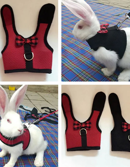 Load image into Gallery viewer, Cute Rabbit Harness Leash Set Bunny Vest Harnesses Guinea Pig Leashes For Outdoor Walking Lead Rope For Small Pets Supplies
