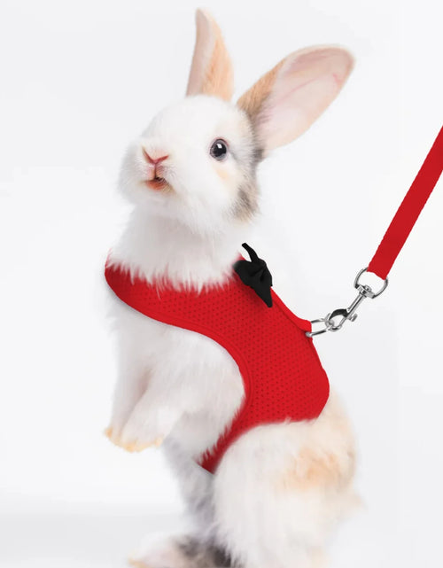 Load image into Gallery viewer, Soft, Comfortable, Cozy, Durable Padded Mesh Rabbit Harness - Gentle and Ideal Vest for Small Pets like Guinea Pigs, Bunny, and
