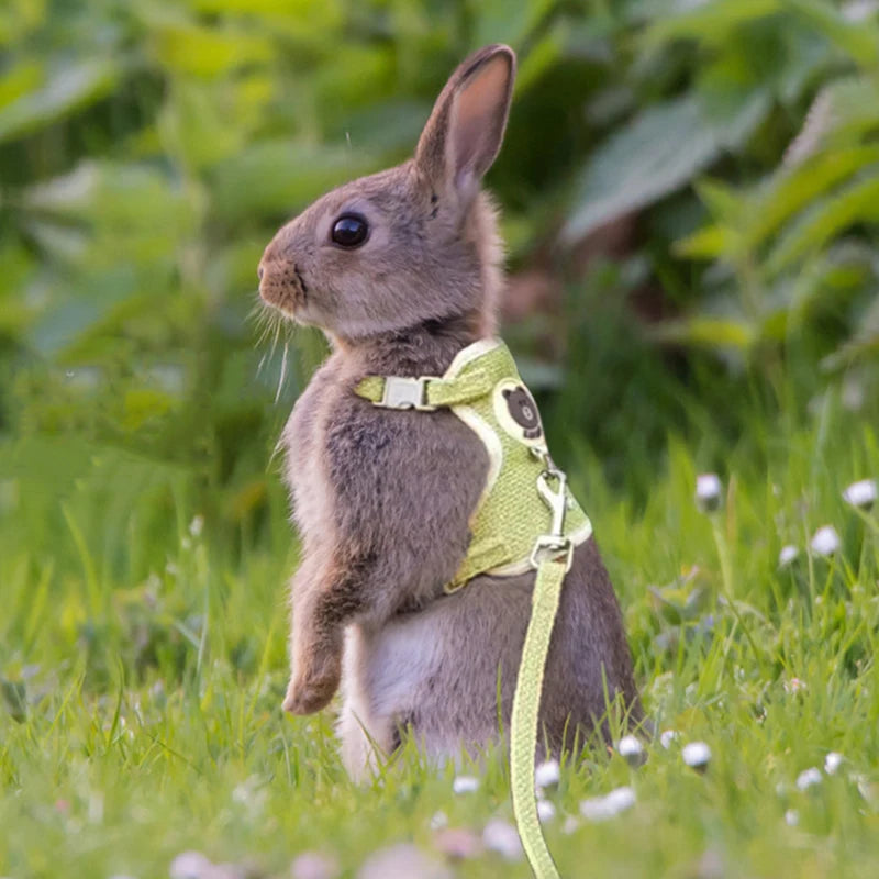 Outdoor Rabbit Guinea Pig Harness and Leash Set Linen Pet Harnesses Vest for Small Animals Teacup Dog Kitten mascotas Supplies