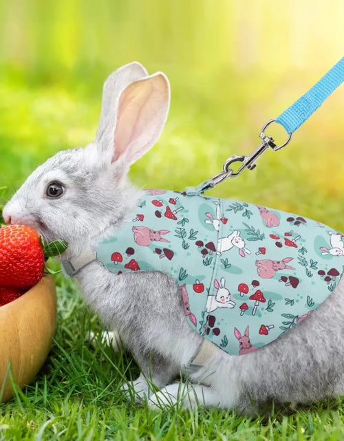 Load image into Gallery viewer, A Set of Stylish Printed Breathable Pet Rabbit Chest and Back for Outdoor Use Rabbit Bunny Rabbit Harness Guinea Pig Accessories
