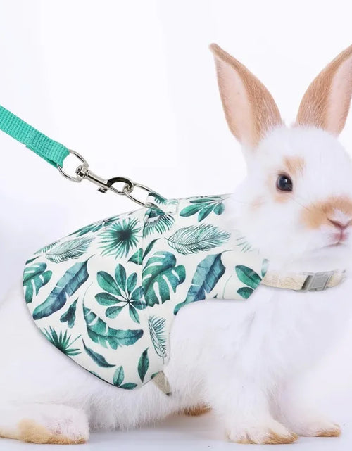 Load image into Gallery viewer, A Set of Stylish Printed Breathable Pet Rabbit Chest and Back for Outdoor Use Rabbit Bunny Rabbit Harness Guinea Pig Accessories
