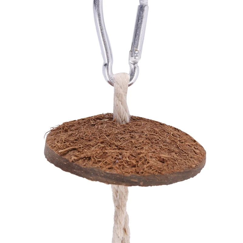 100% Natural Coconut Husk Coconut Hide With Ladder For Bird Shell Hideaway Durable Habitat