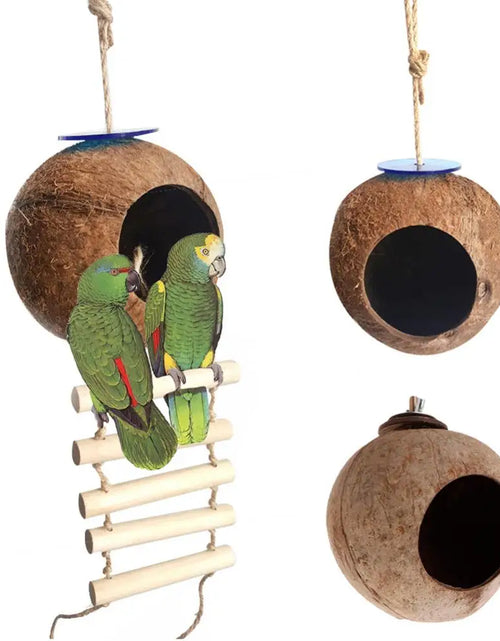 Load image into Gallery viewer, Pet Bird Parrot Cages Coconut Shell Parrot Birds Fixed Swing Nest With Ladder Pet House Cave Hamster Squirrel Breeding Nest
