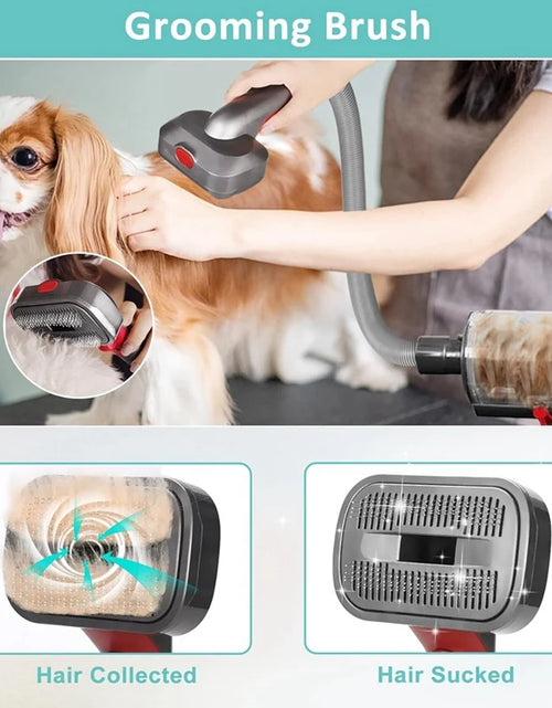 Load image into Gallery viewer, Pet Dog Grooming Kit For Dyson Vacuum V7 V8 V10 V11 V12 V15,Dog Grooming Brush Attachment,Dog Hair Groomer Tools
